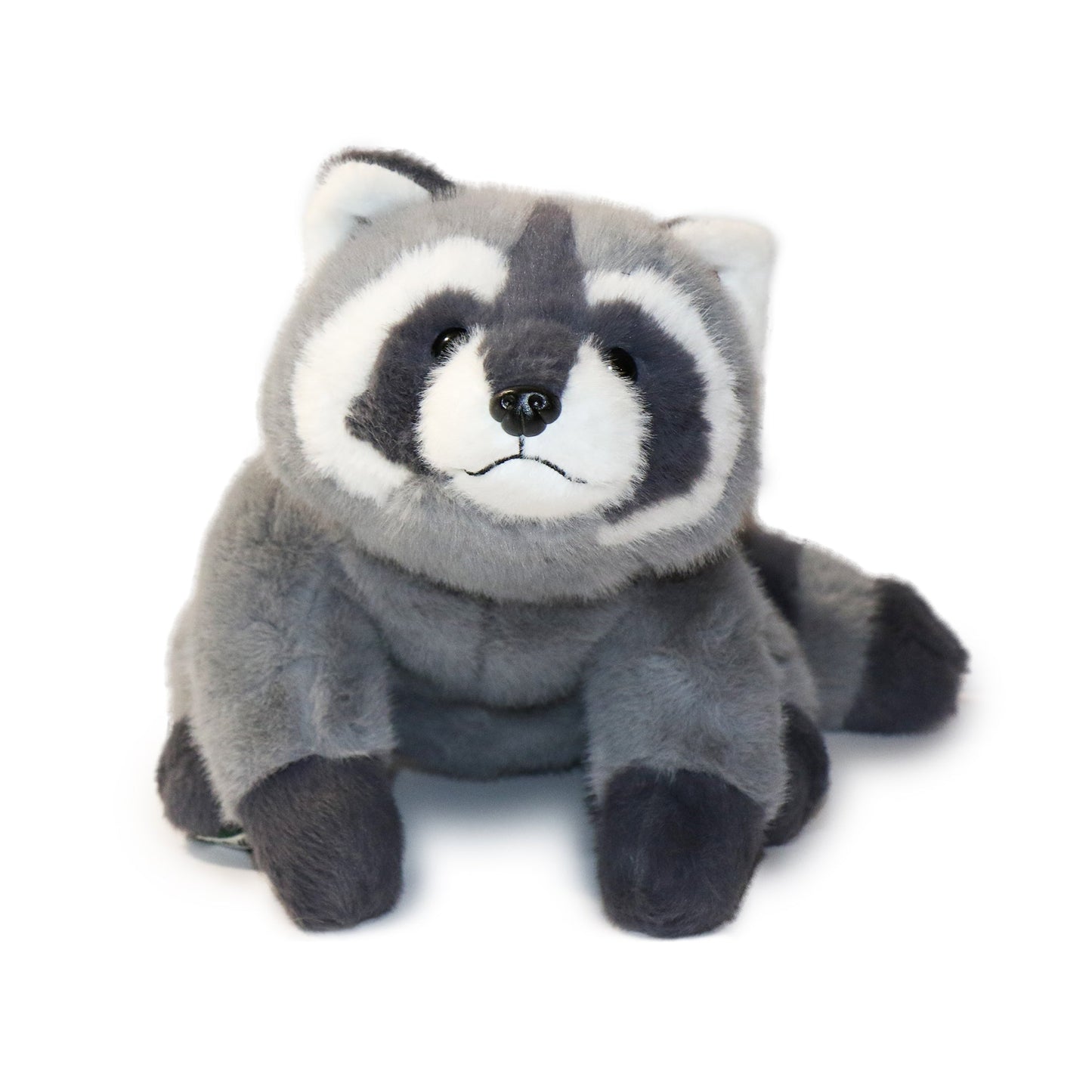 Bandit Raccoon