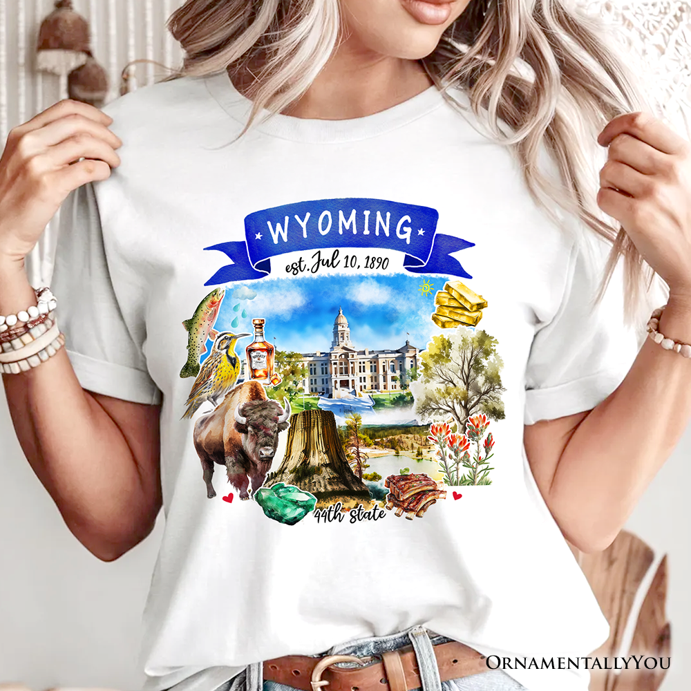 Artistic Arkansas State Themes and Landmarks T-Shirt, Tee for History and Travel Lovers