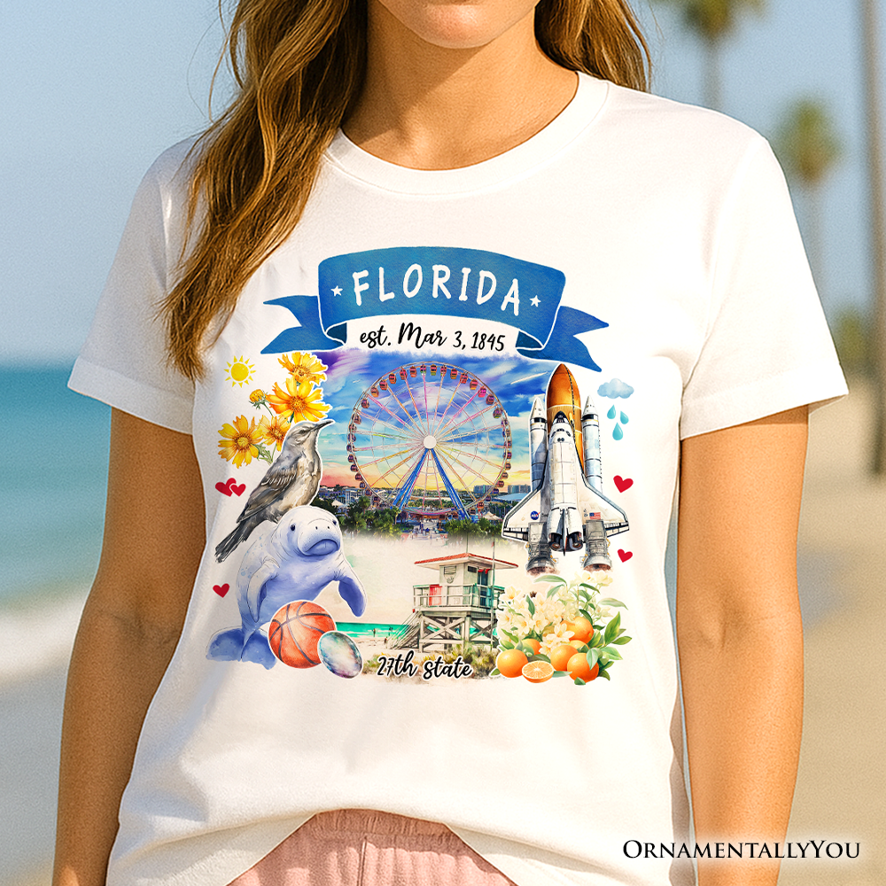 Artistic Florida State Themes and Landmarks T-Shirt, Tee for History and Travel Lovers