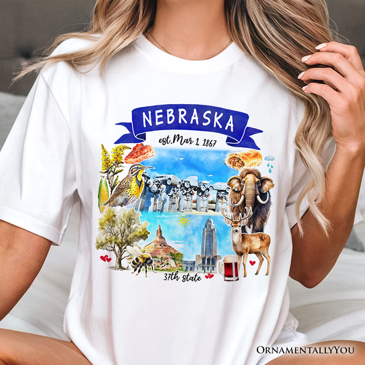 Artistic Nebraska State Themes and Landmarks T-Shirt, Tee for History and Travel Lovers