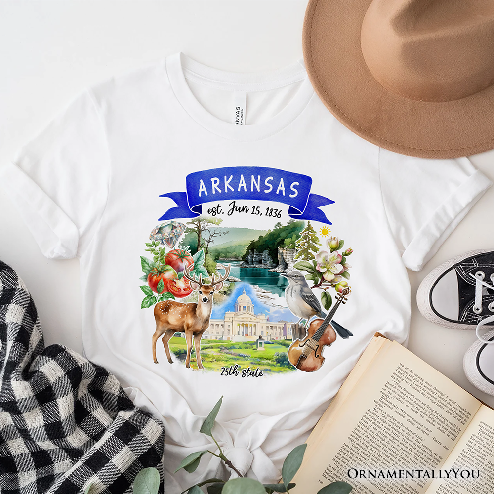 Artistic Arkansas State Themes and Landmarks T-Shirt, Tee for History and Travel Lovers