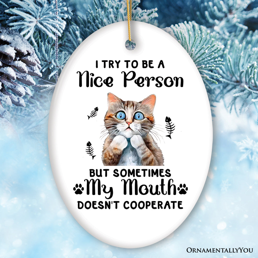 Funny Cat Trying to be a Nice Person, Cute and Funny Christmas Gift