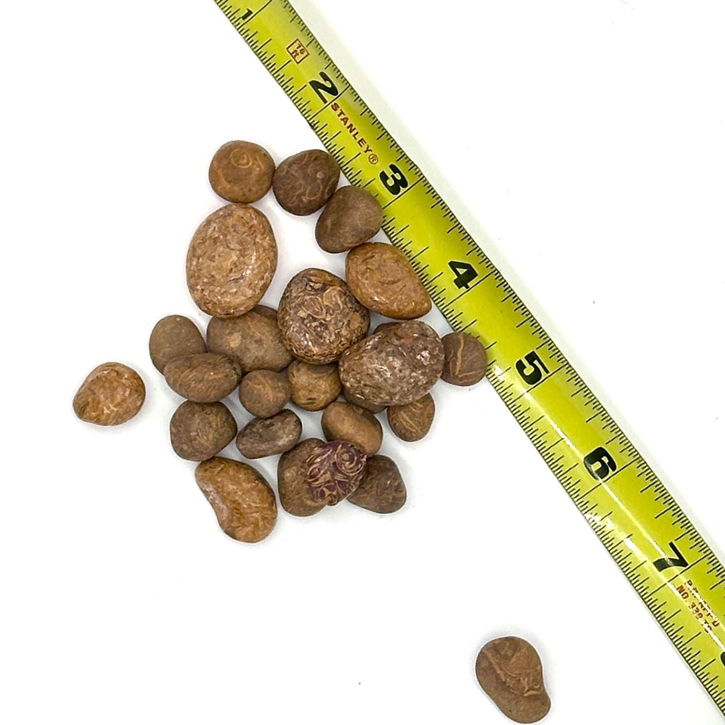 Mariam Jasper Tumbled Stone (Pebble Size): The Alchemist Stone