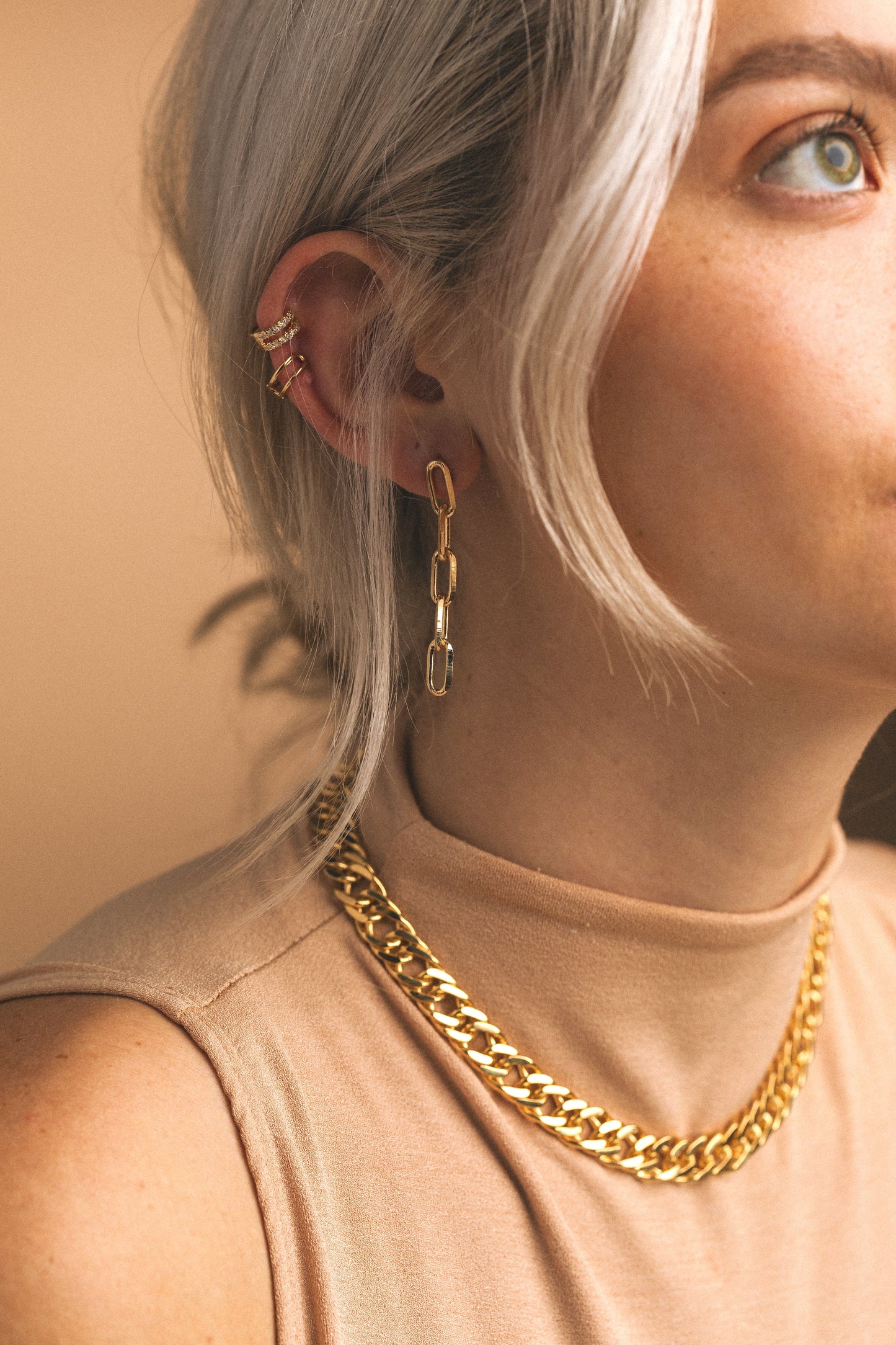 PaperClip Link Earrings