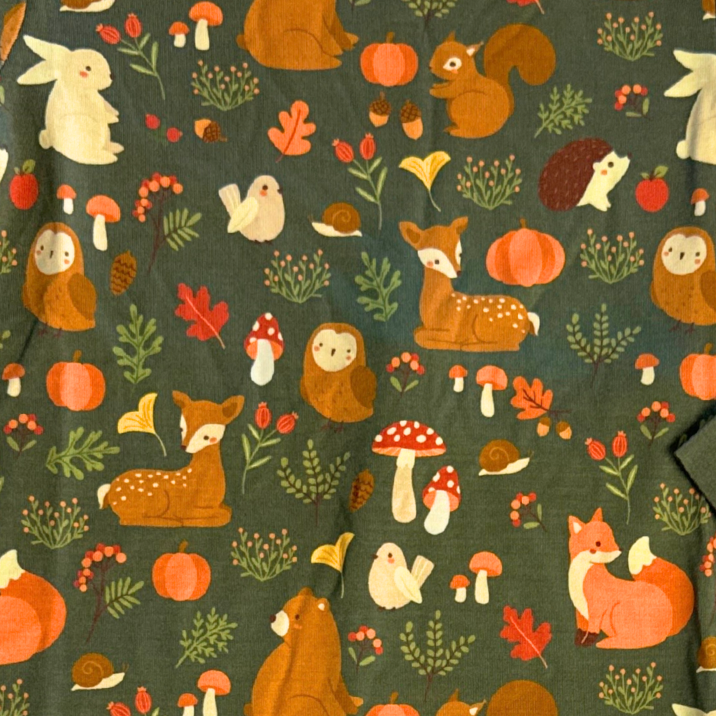 Two Piece Pajama Set