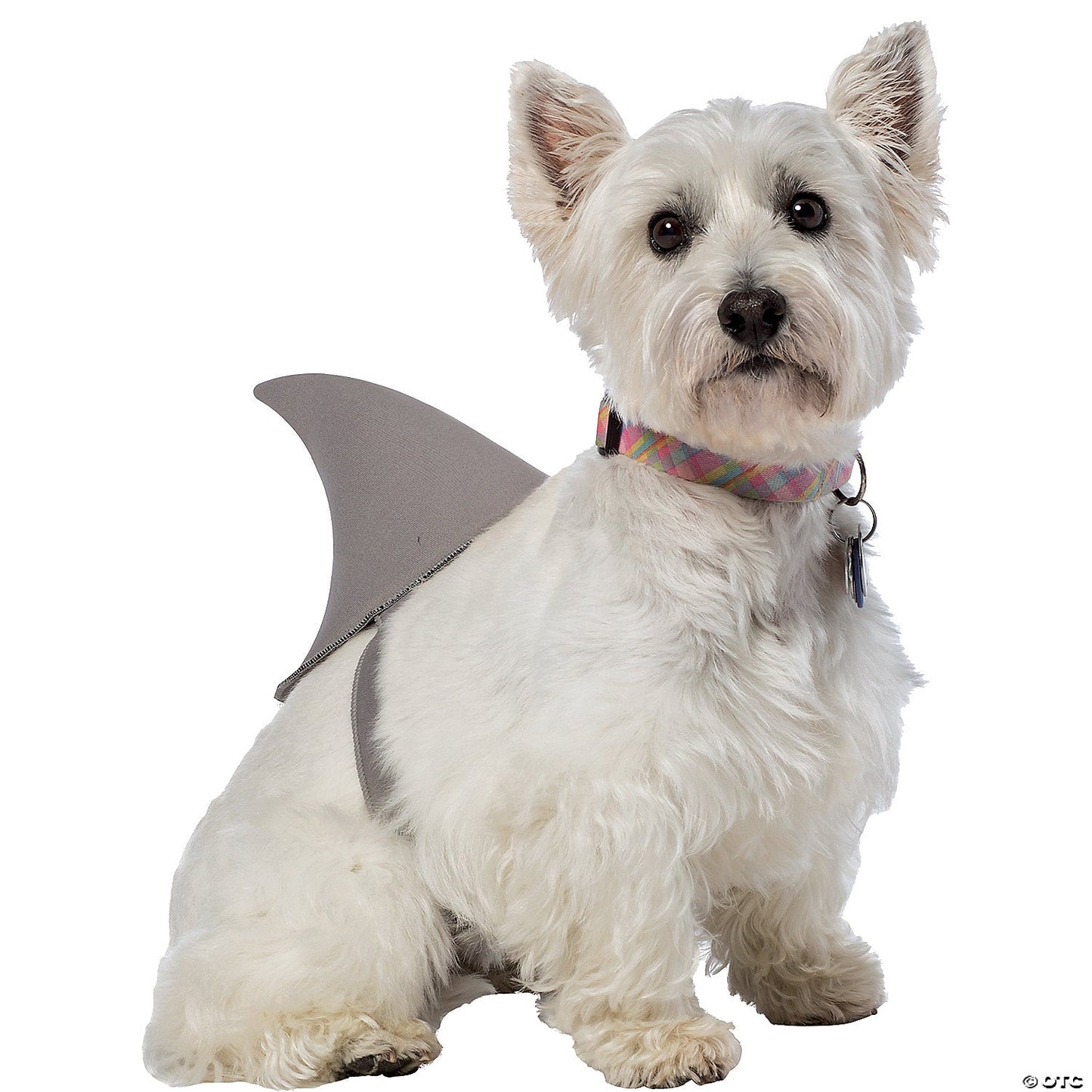Shark Fin Dog Costume, Medium