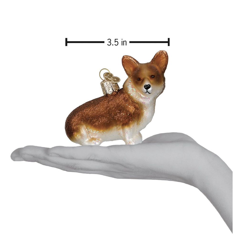 Pembroke Welsh Corgi