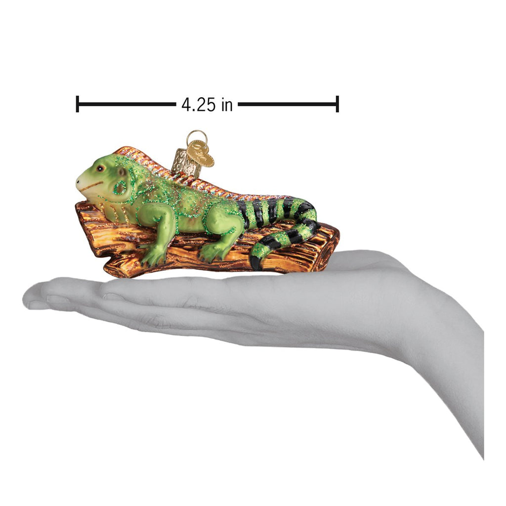 Iguana Christmas Ornament | Old World Christmas Glass Reptile Pet Lover Keepsake Gift