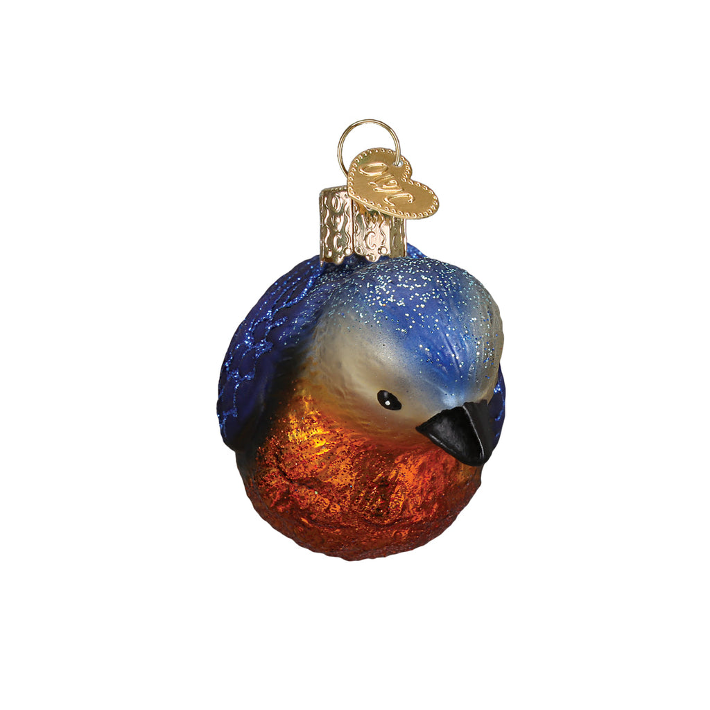 Hanging Western Bluebird