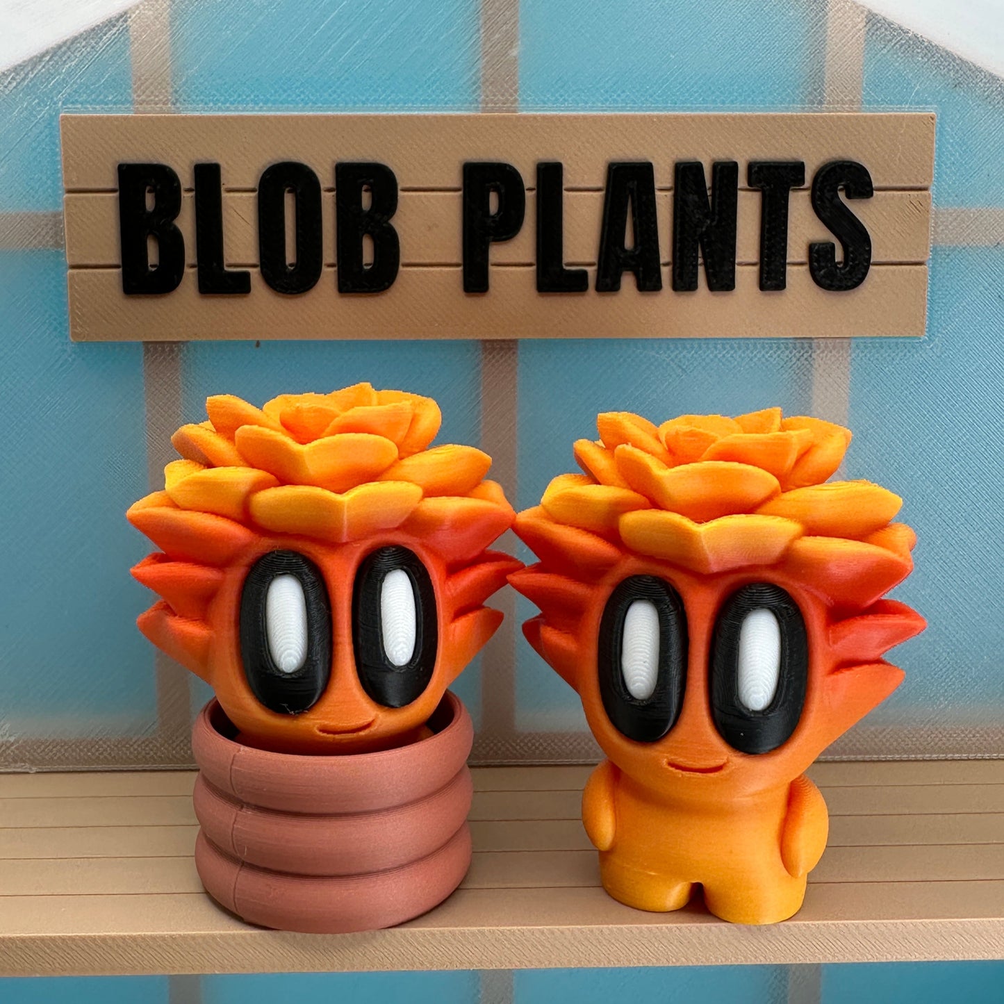 Succulent Blob Plant