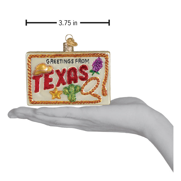 Texas Postcard Christmas Ornament | Old World Christmas Glass Texas Postcard Lone Star State Bluebonnets Longhorns Rio Grande Texas Gift Keepsake Holiday Gift