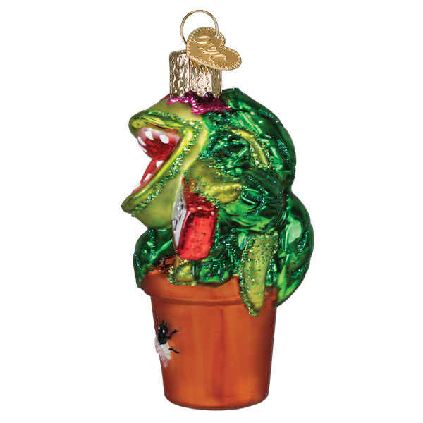 Venus Fly Trap Christmas Ornament | Old World Christmas Glass Venus Flytrap Carnivorous Plant Nature Science Funny Unique Keepsake Holiday Gift