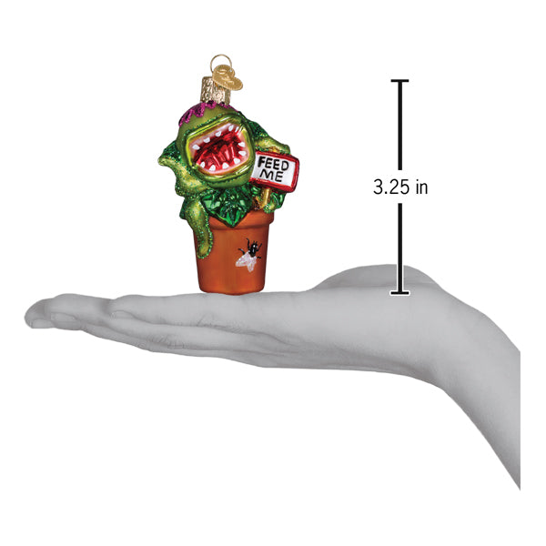 Venus Fly Trap Christmas Ornament | Old World Christmas Glass Venus Flytrap Carnivorous Plant Nature Science Funny Unique Keepsake Holiday Gift