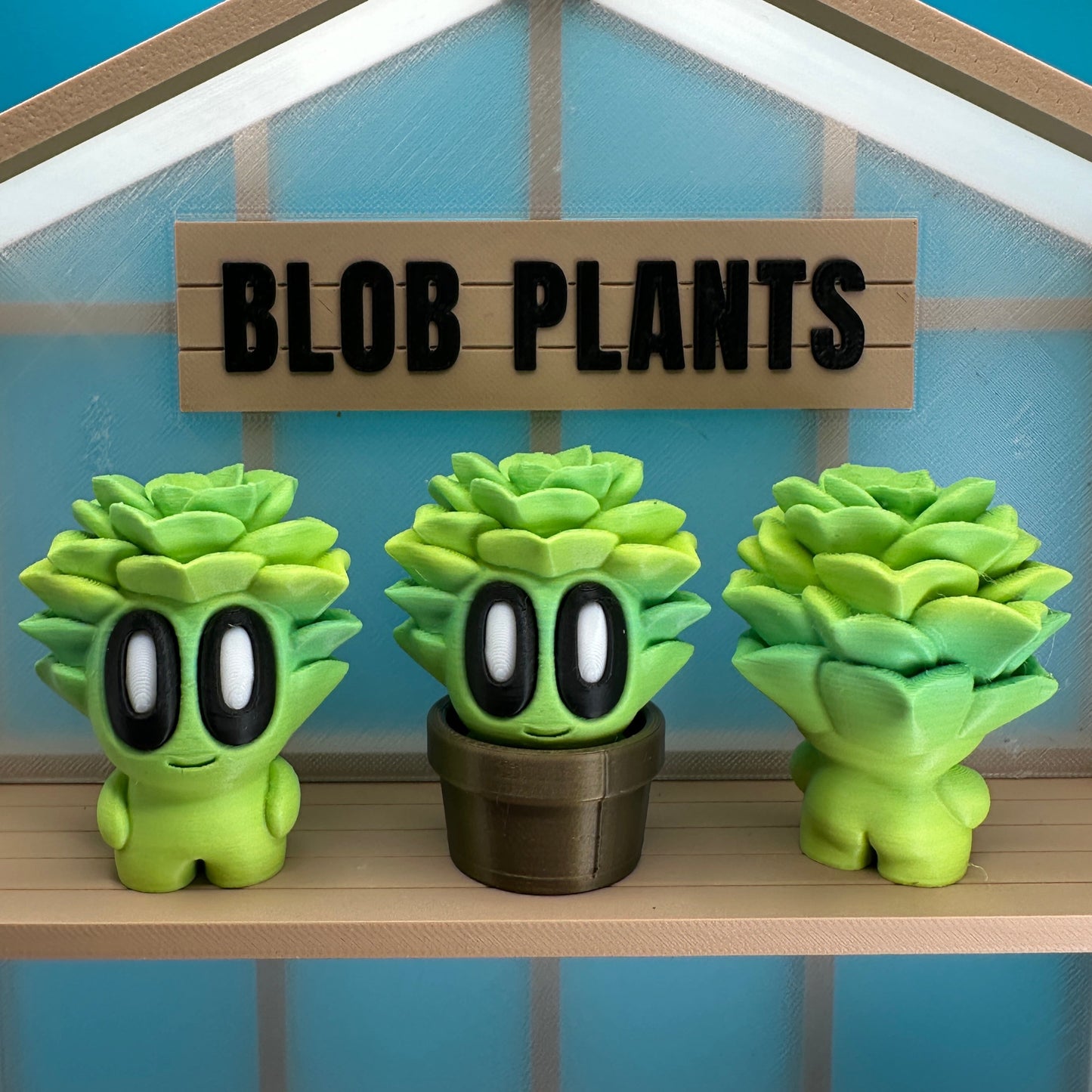 Succulent Blob Plant