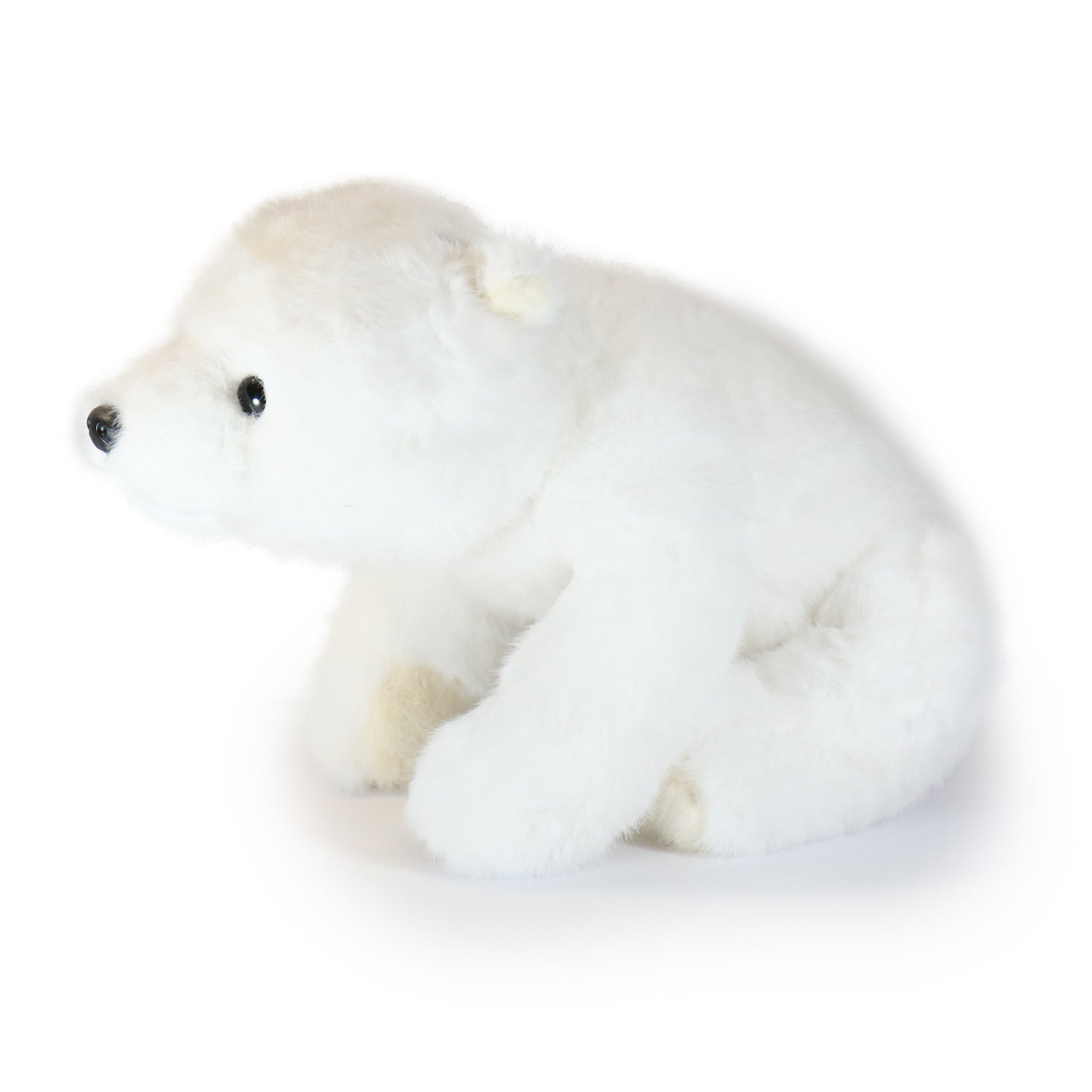Frosty Bear