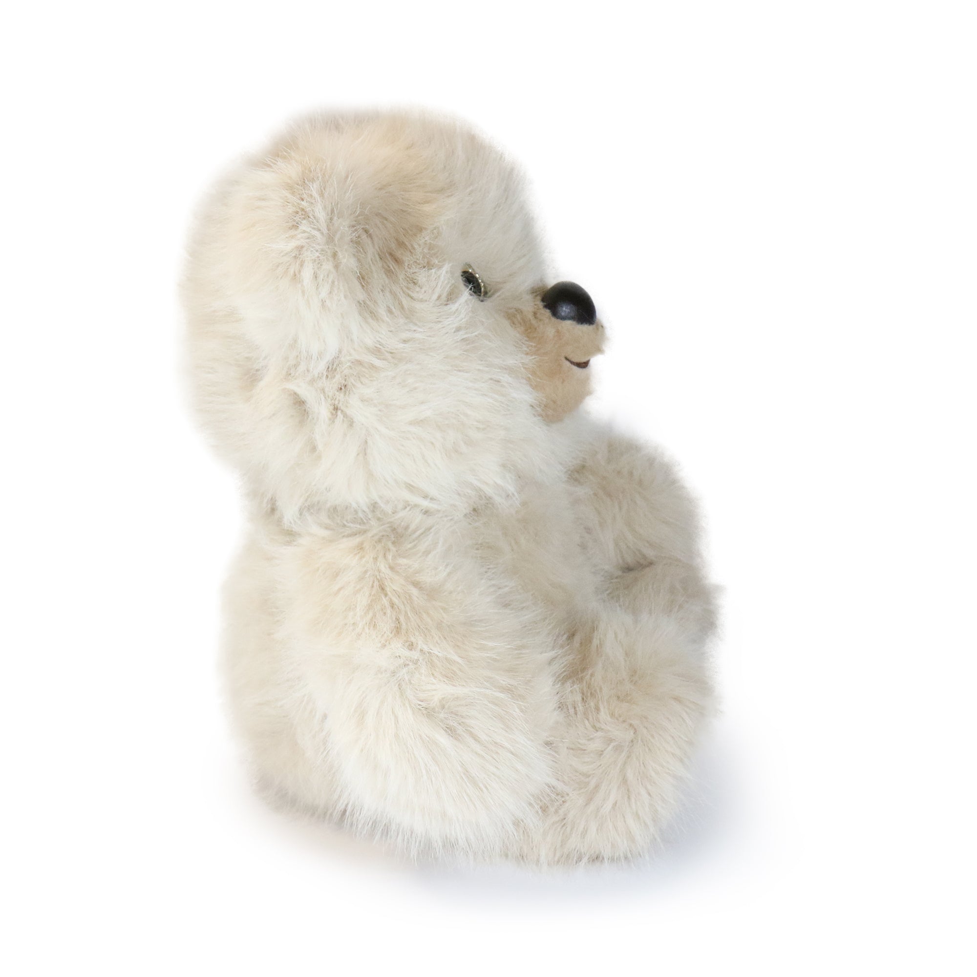 Honeywood Bear