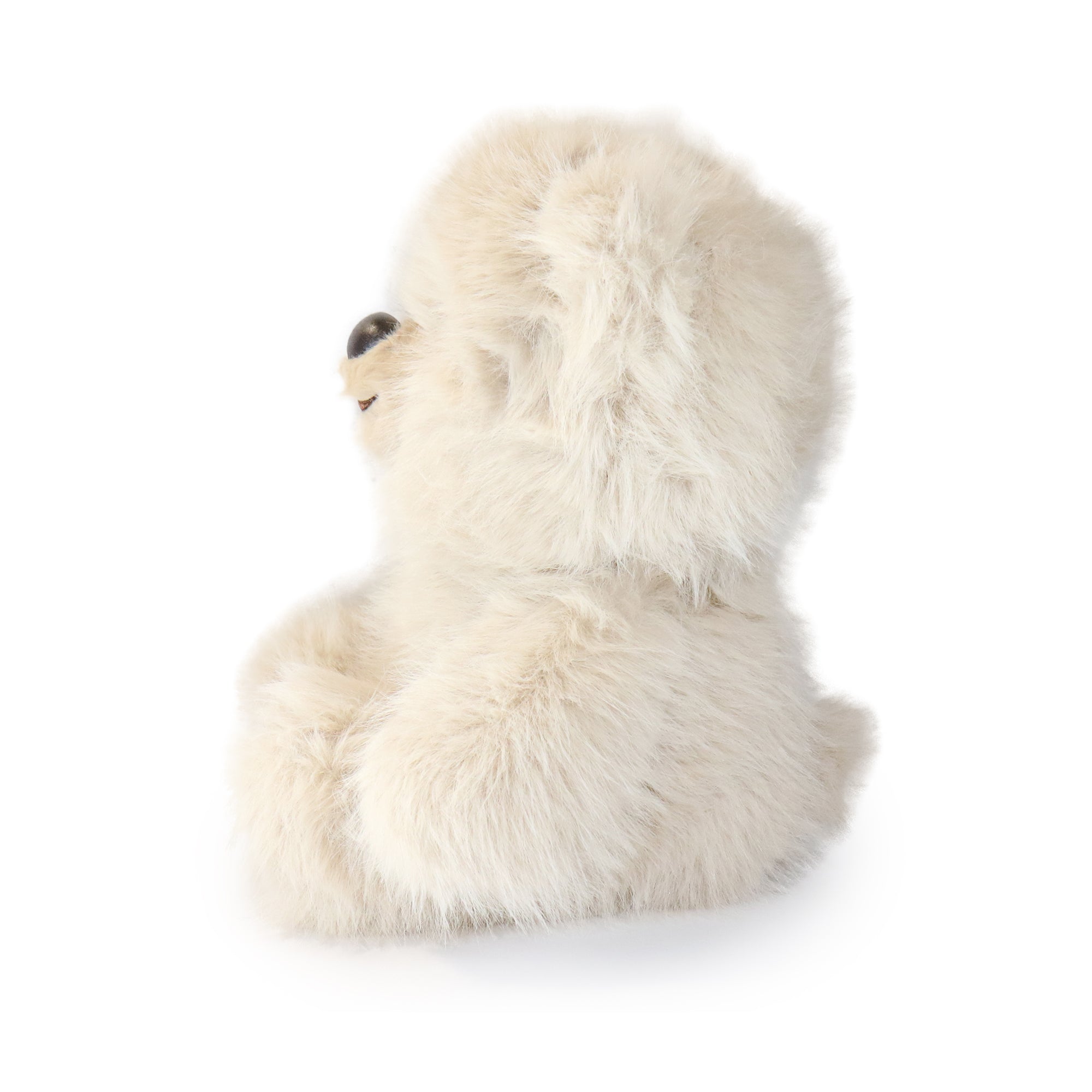 Honeywood Bear