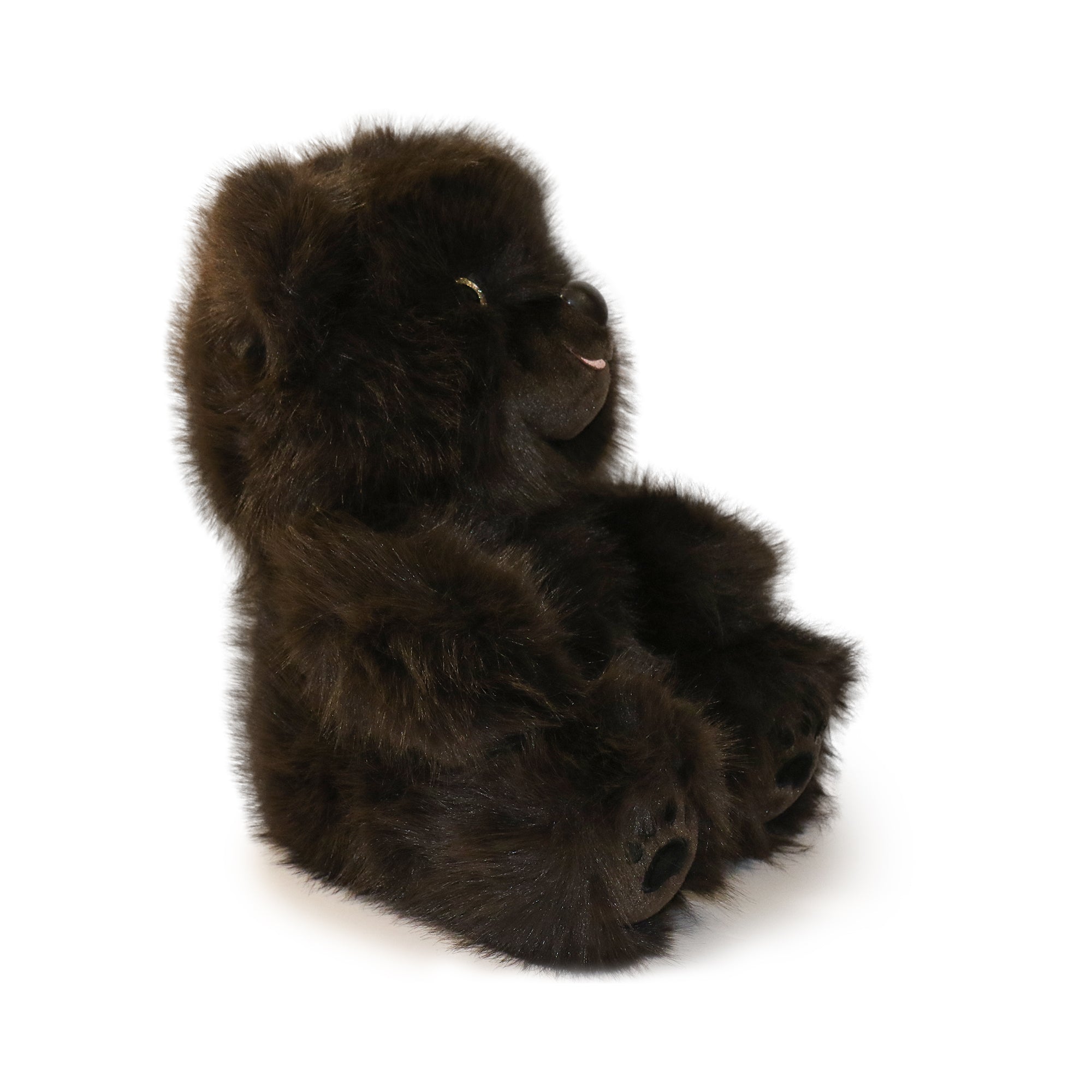 Honeywood Bear