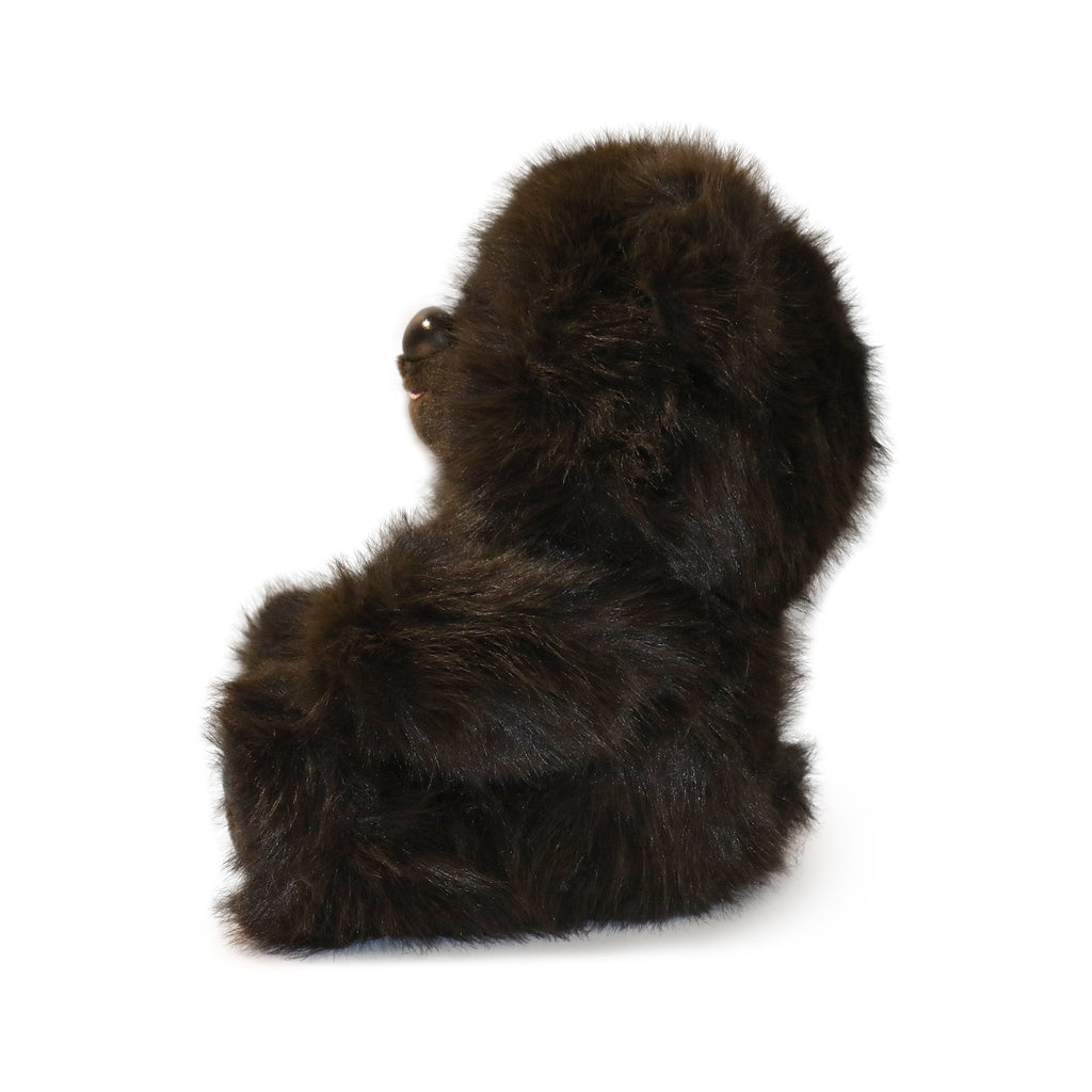 Honeywood Bear