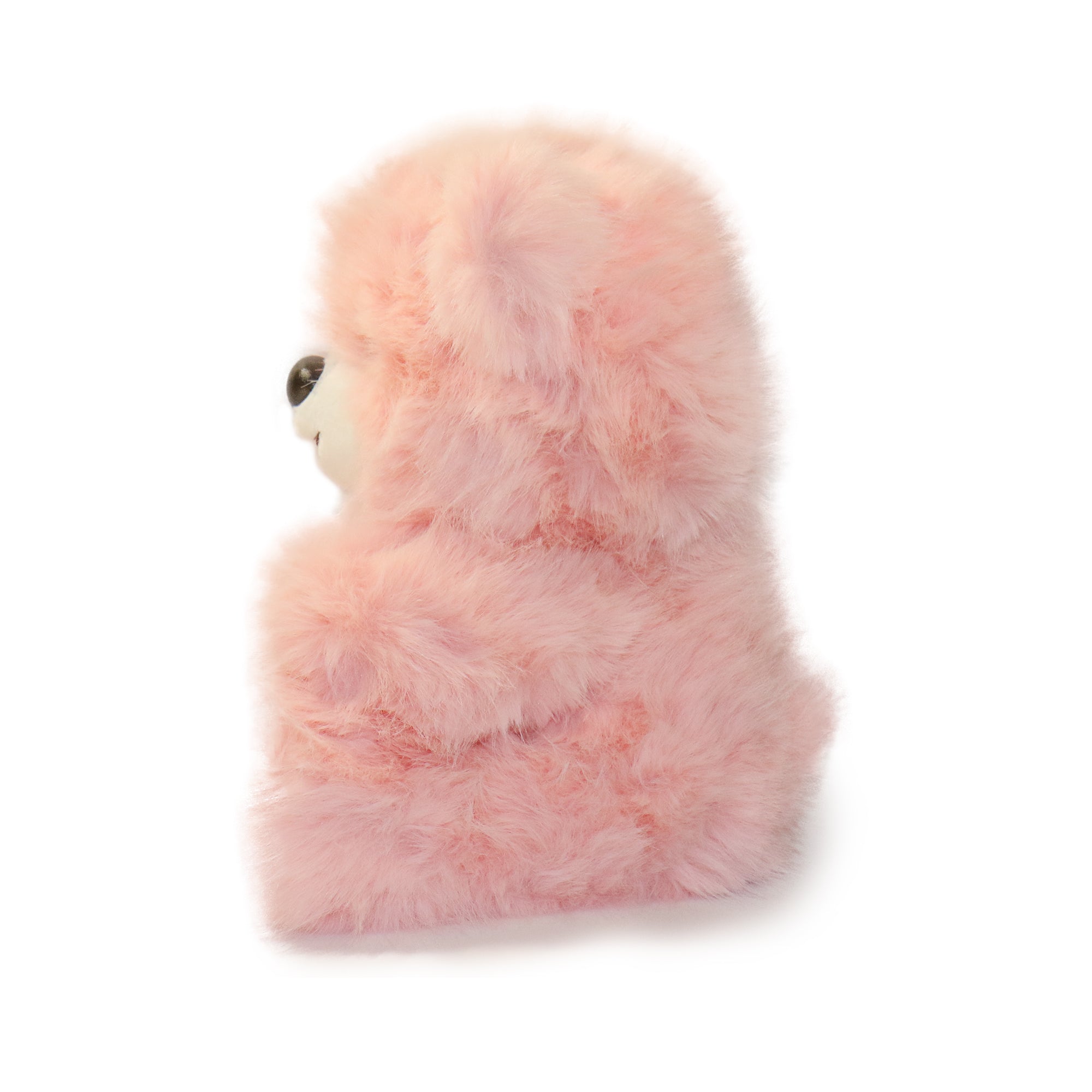 Honeywood Bear