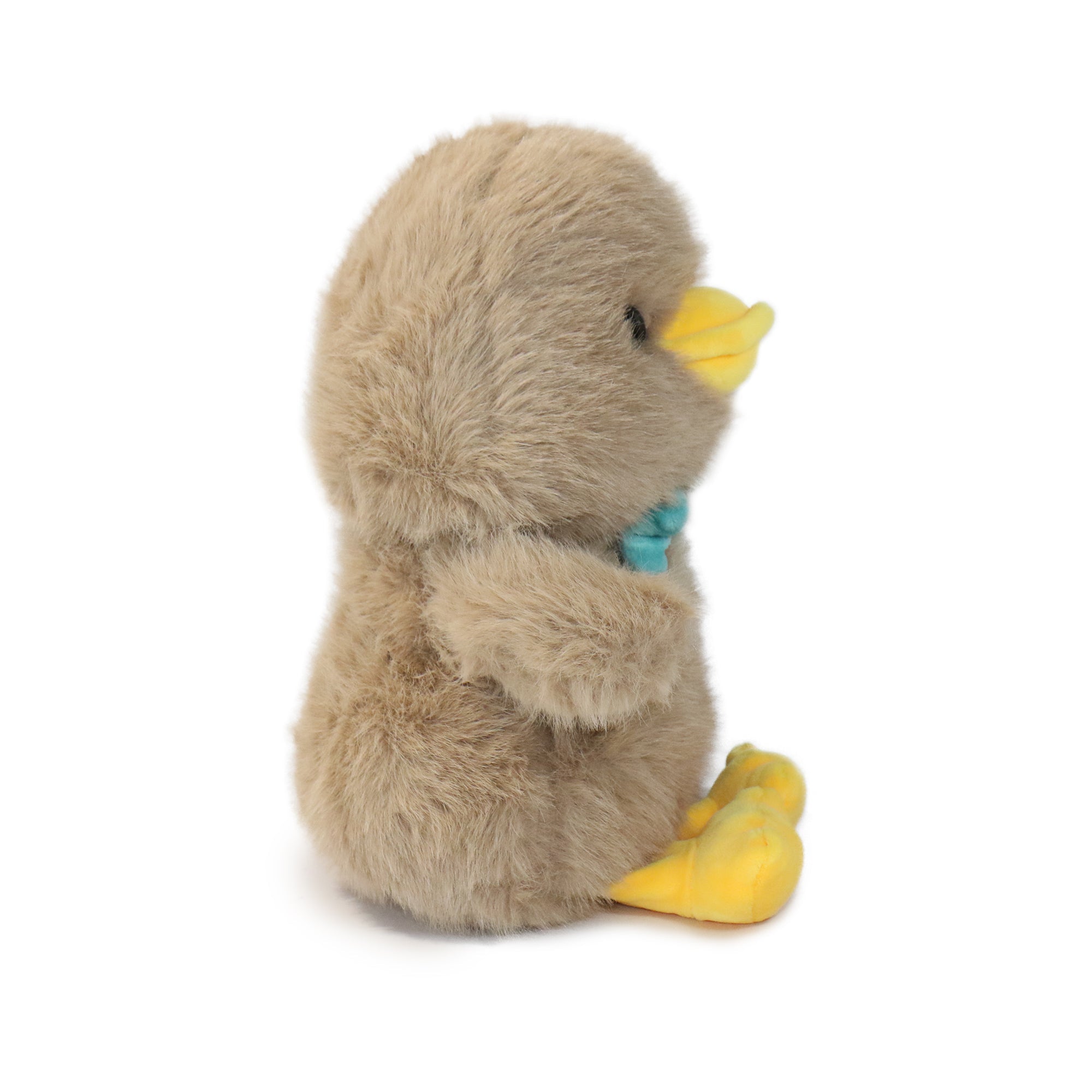 Dashing Bashful Duck