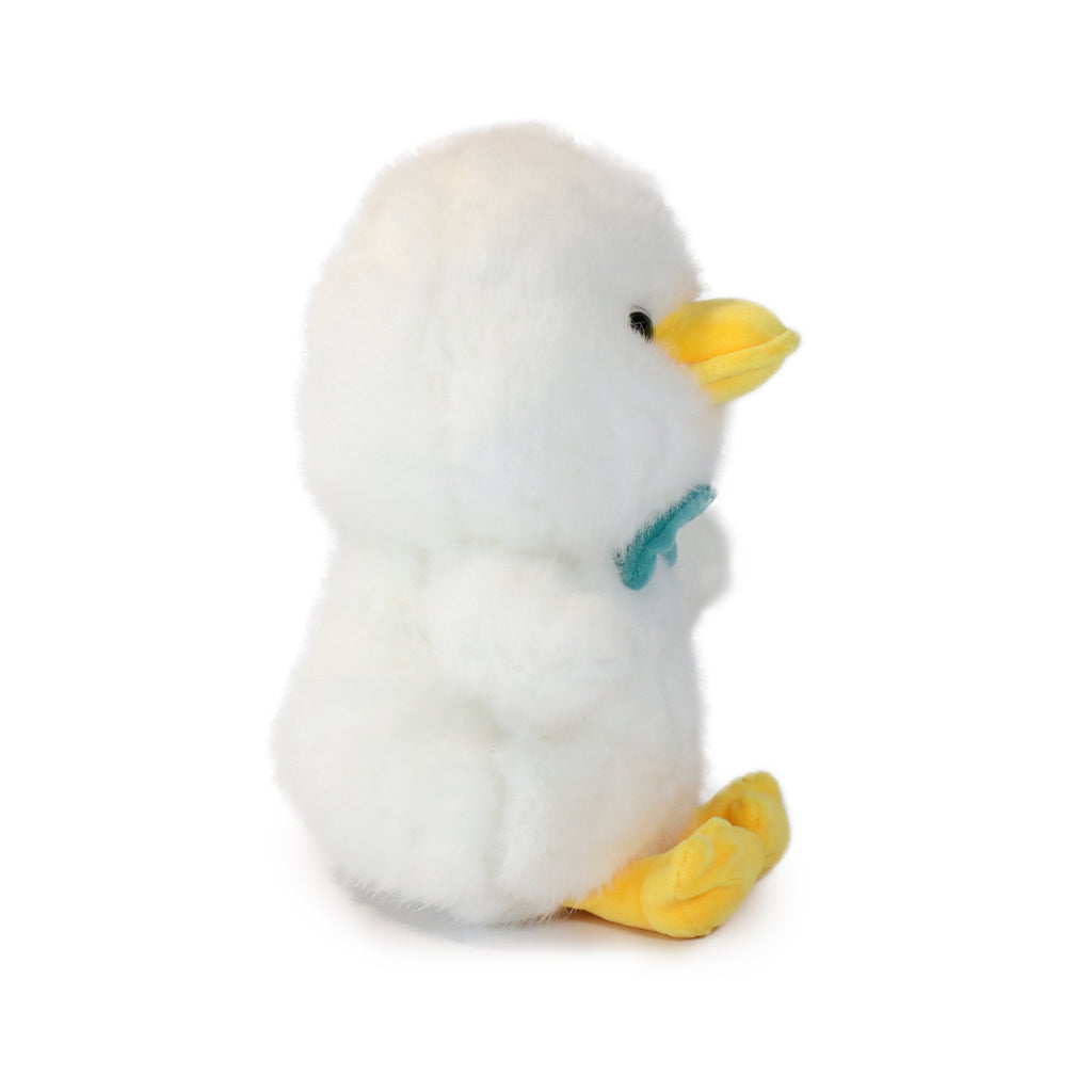 Dashing Bashful Duck