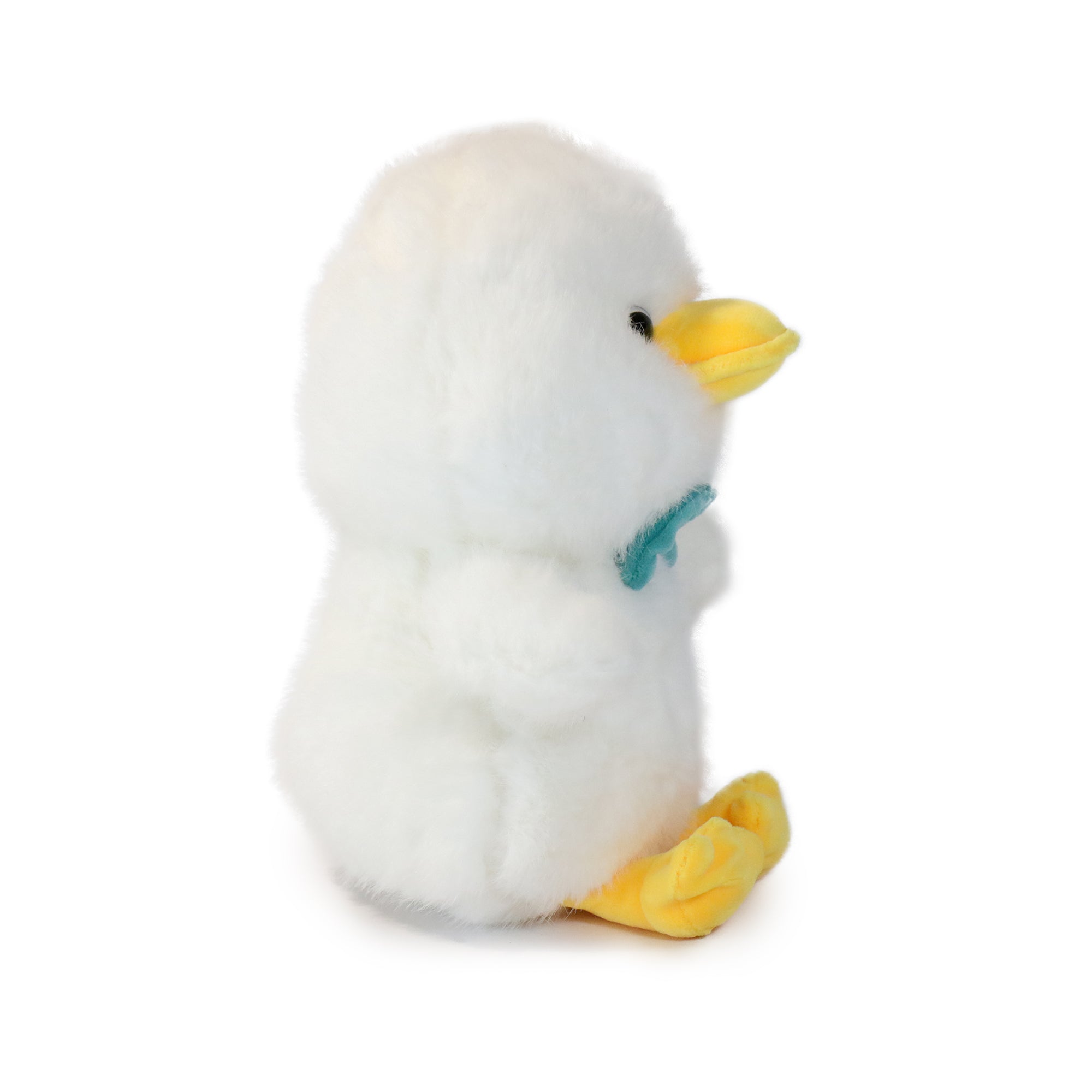 Dashing Bashful Duck