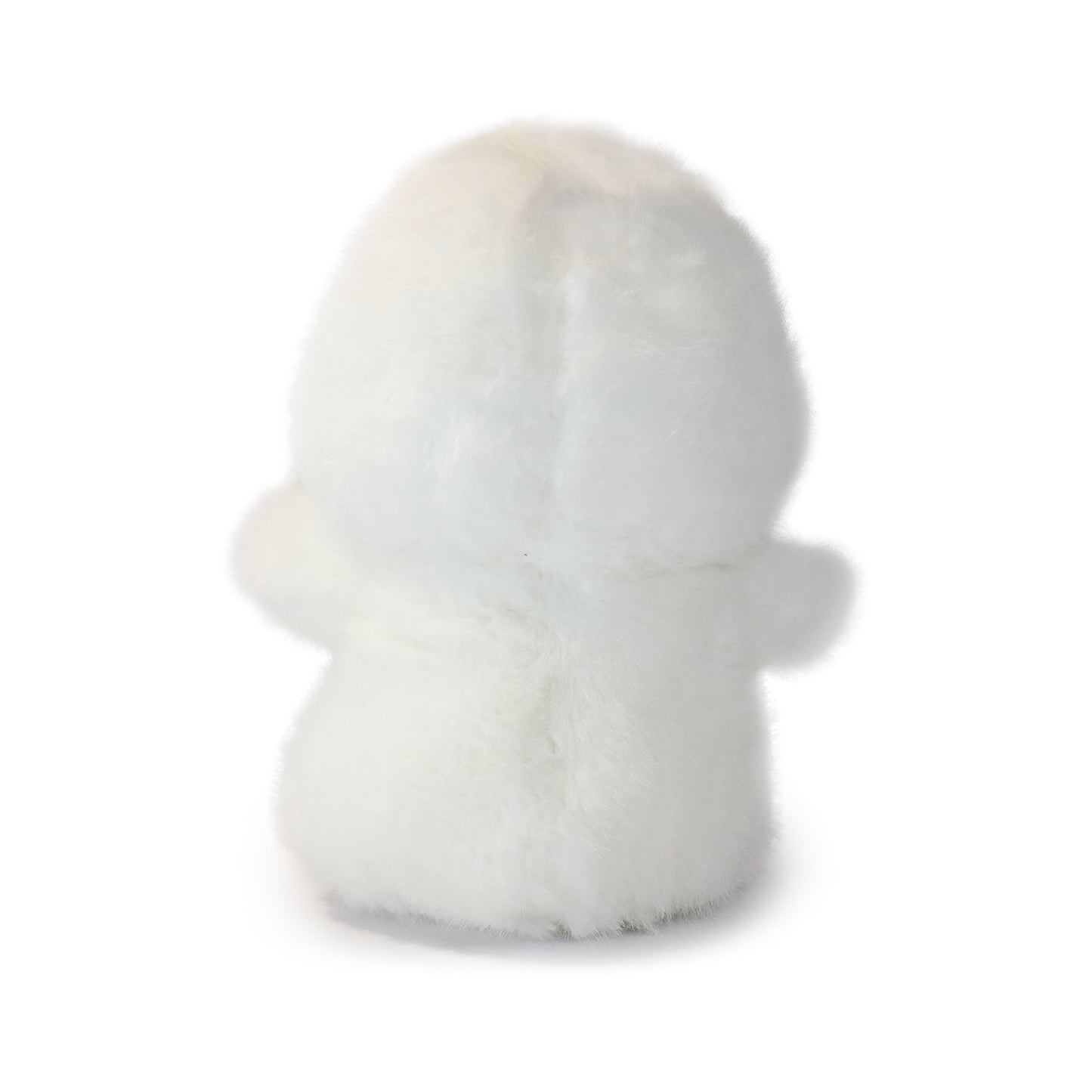 Dashing Bashful Duck