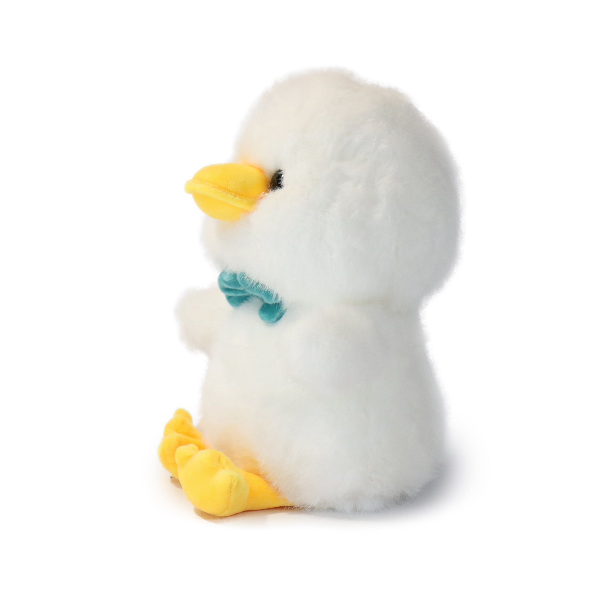 Dashing Bashful Duck