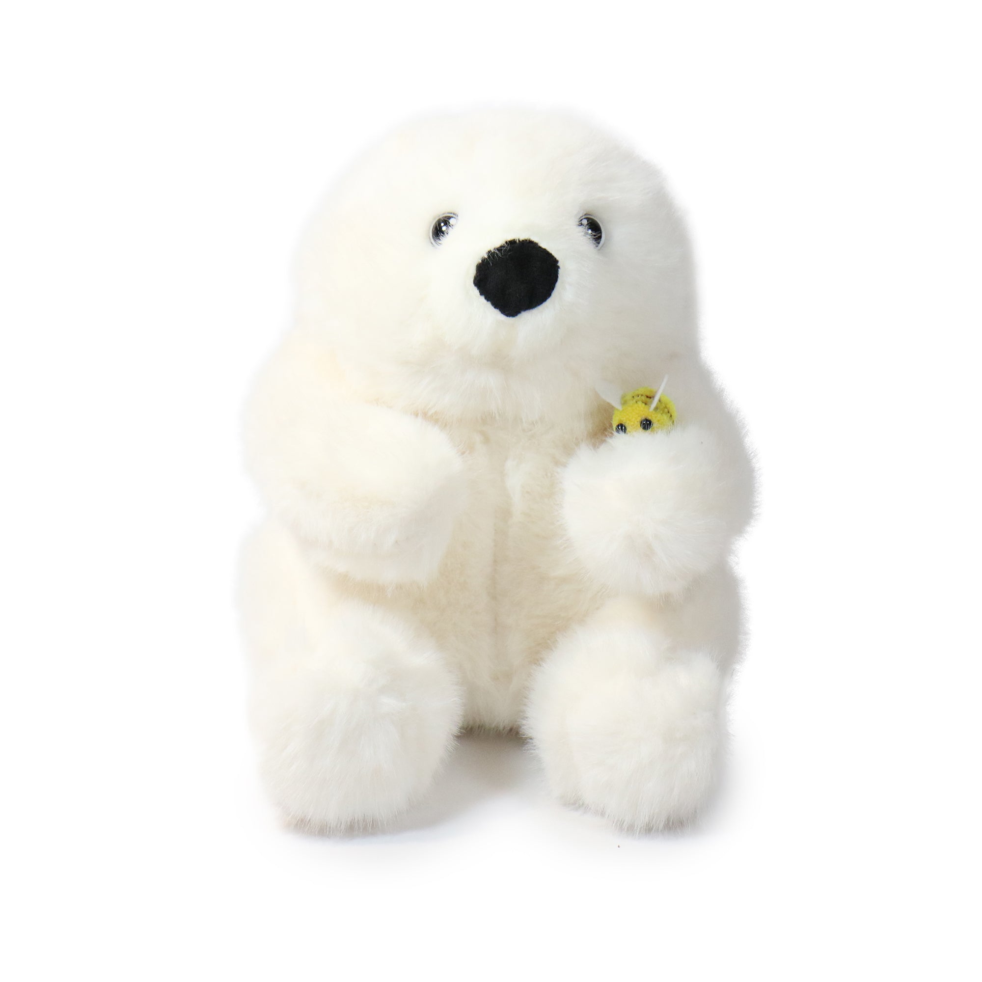 Buzzy Bear