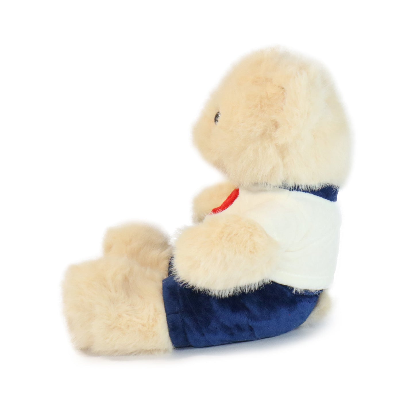 Fashionable Huggable Bear