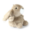 Benny Bunny