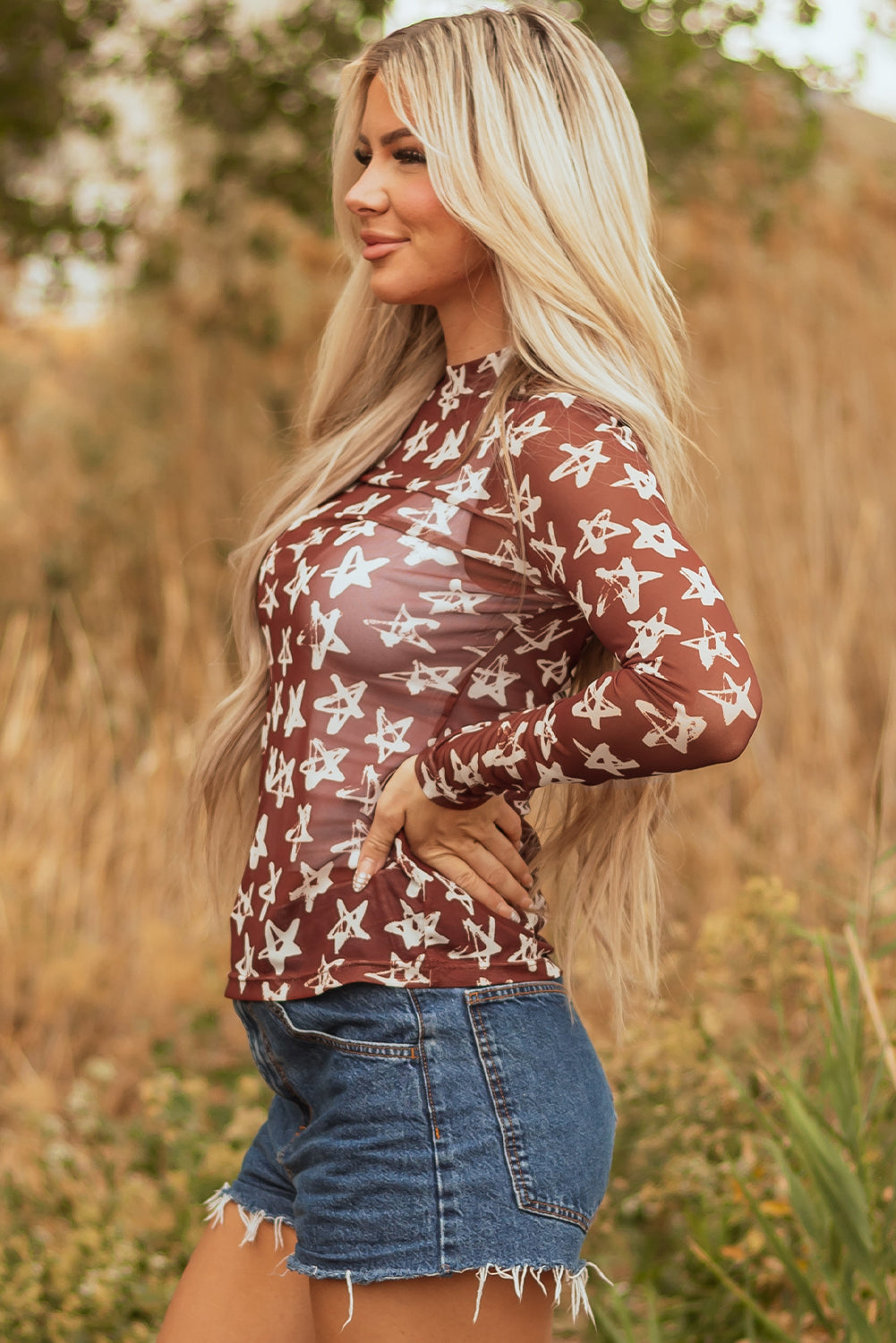 Alexandra Mesh Star Sheath Long Sleeve Top