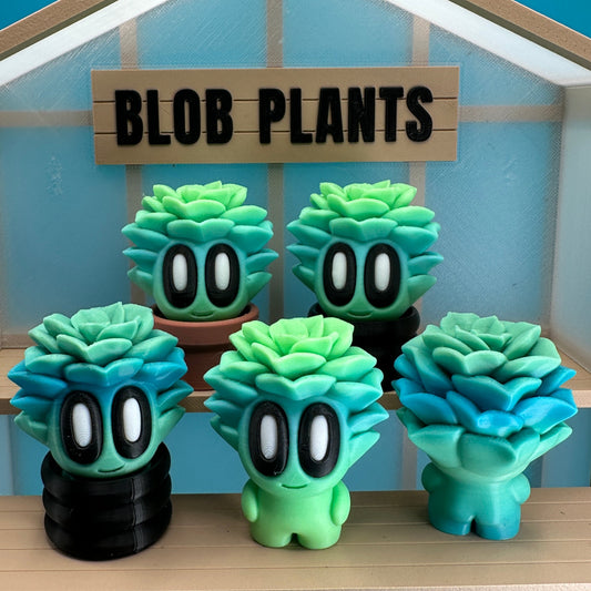 Succulent Blob Plant