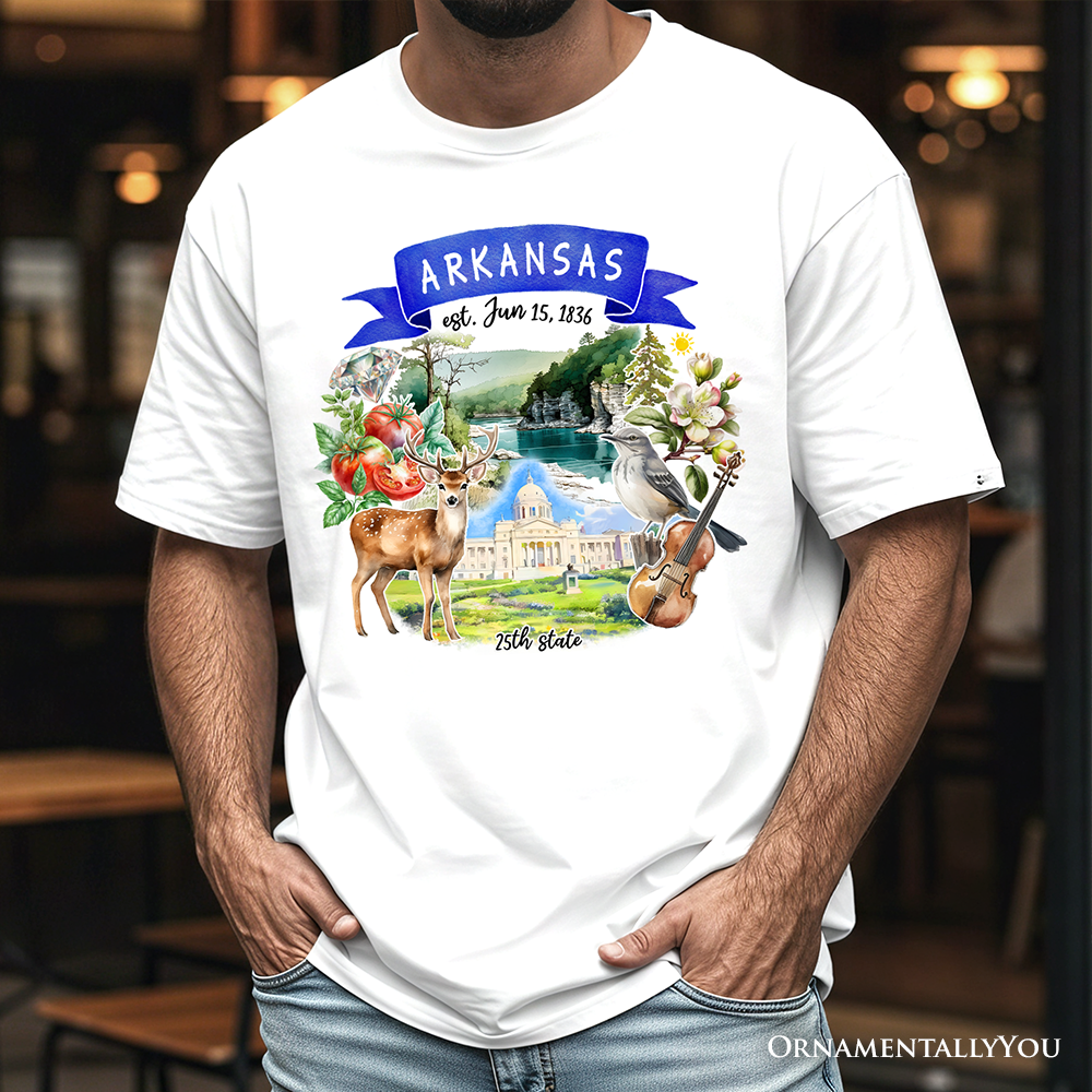 Artistic Arkansas State Themes and Landmarks T-Shirt, Tee for History and Travel Lovers