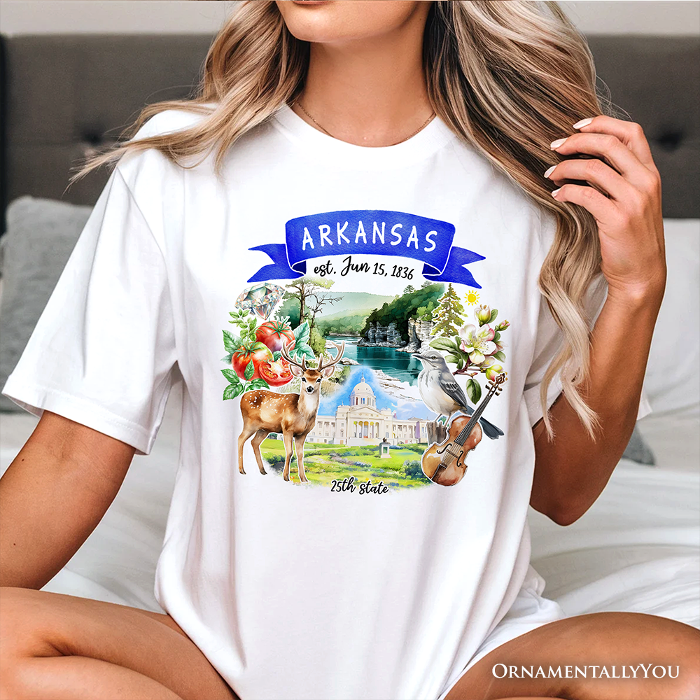 Artistic Arkansas State Themes and Landmarks T-Shirt, Tee for History and Travel Lovers