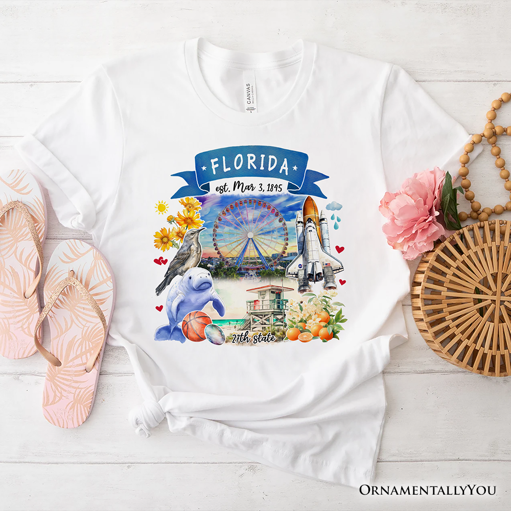 Artistic Florida State Themes and Landmarks T-Shirt, Tee for History and Travel Lovers