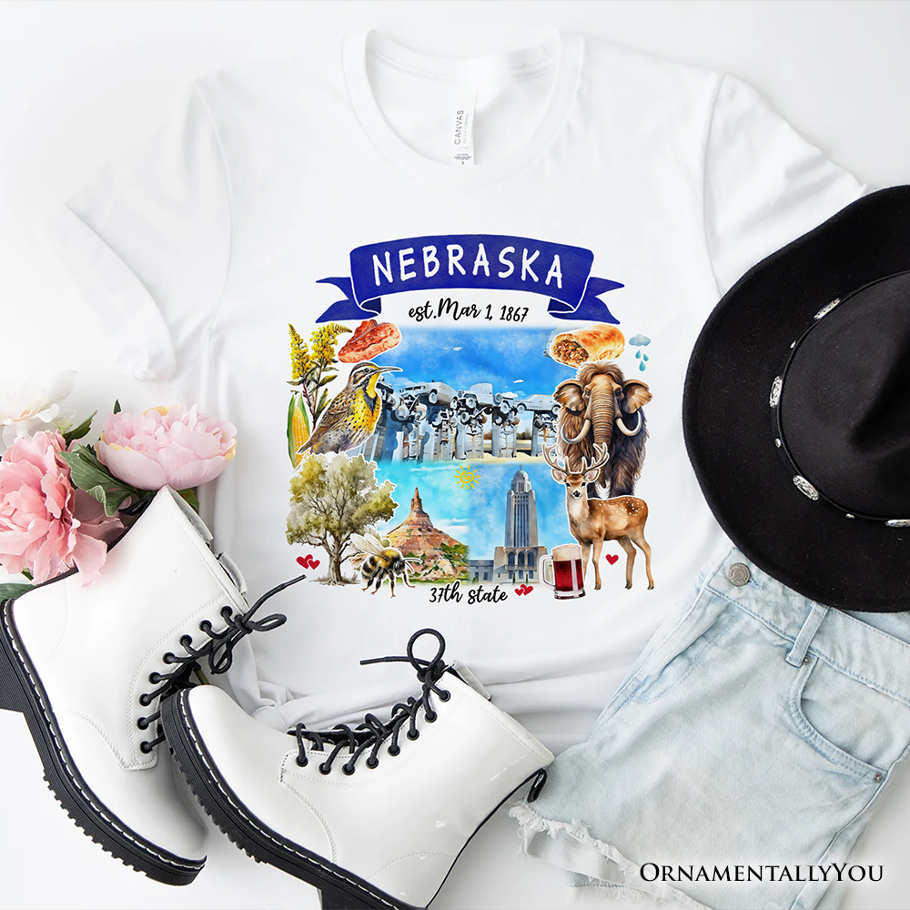 Artistic Nebraska State Themes and Landmarks T-Shirt, Tee for History and Travel Lovers