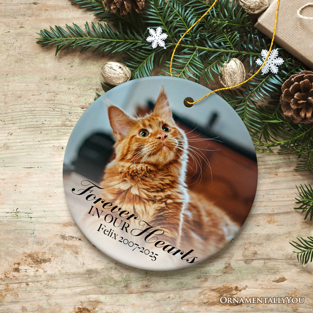 Dog Memorial Personalized Picture Ornament