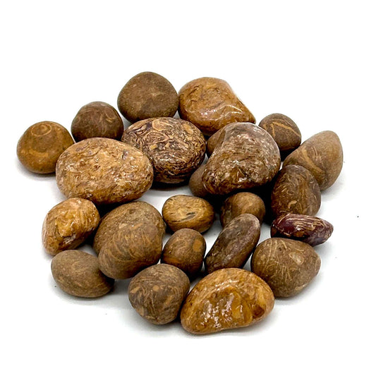 Mariam Jasper Tumbled Stone (Pebble Size): The Alchemist Stone