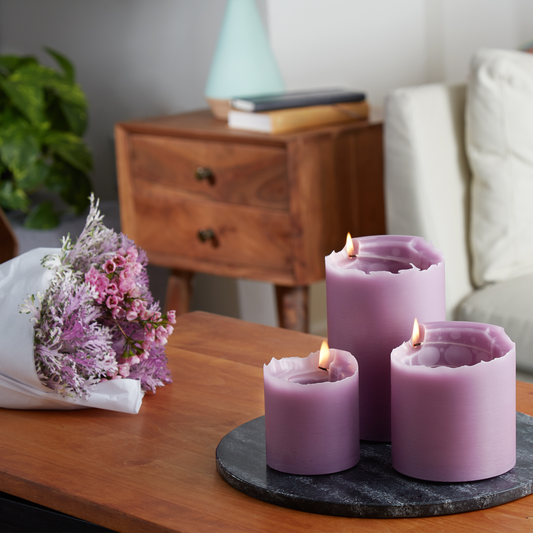 European Lilac