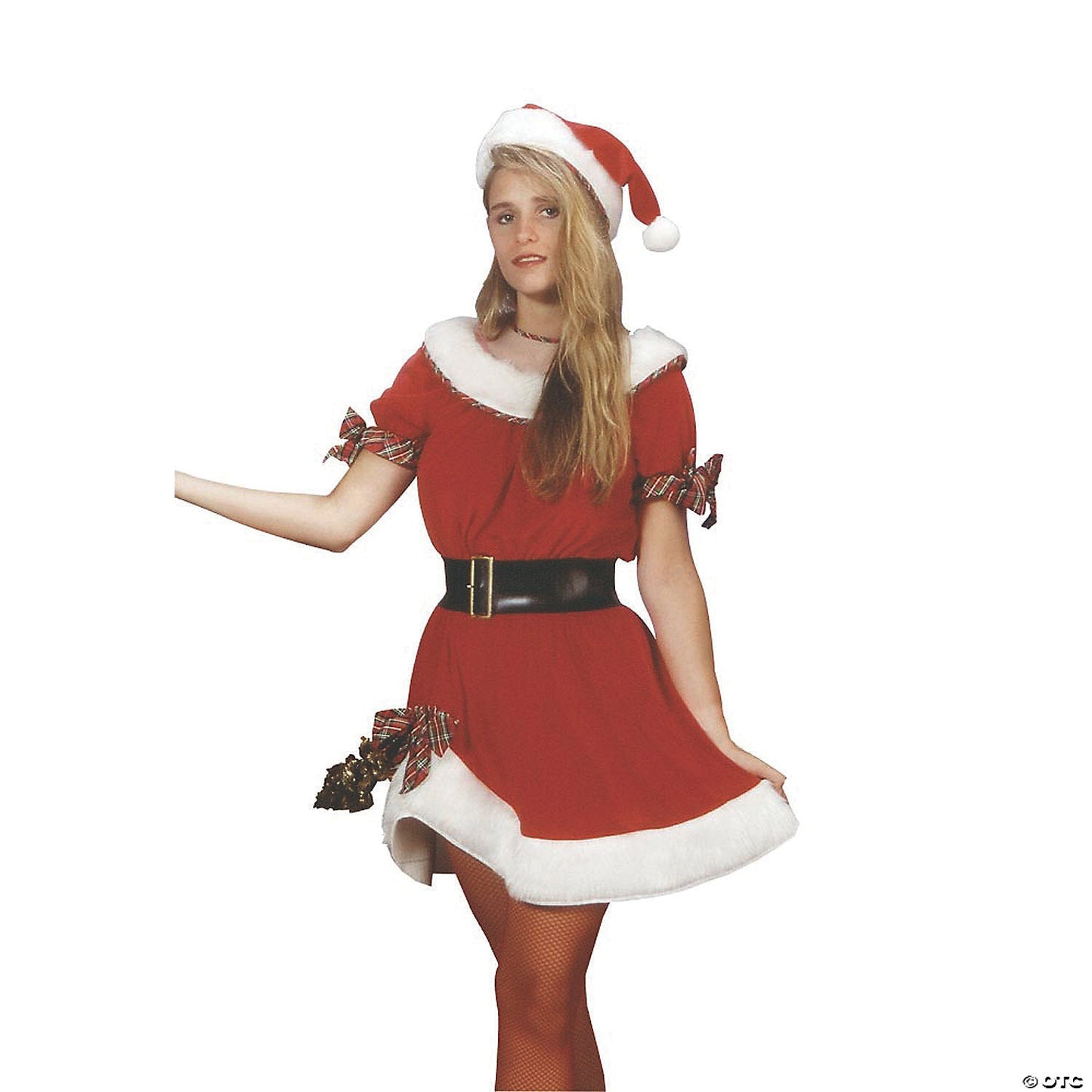 Adult Standard Ms. Santa Costume