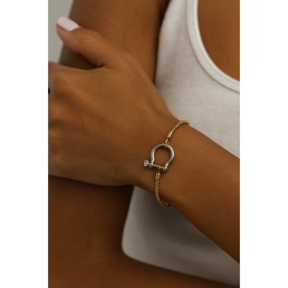 The Lucky Lock Horseshoe Carabiner Clasp Bracelet