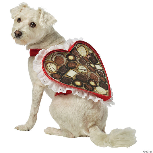 Chocolate Box Dog Costume Ex Small