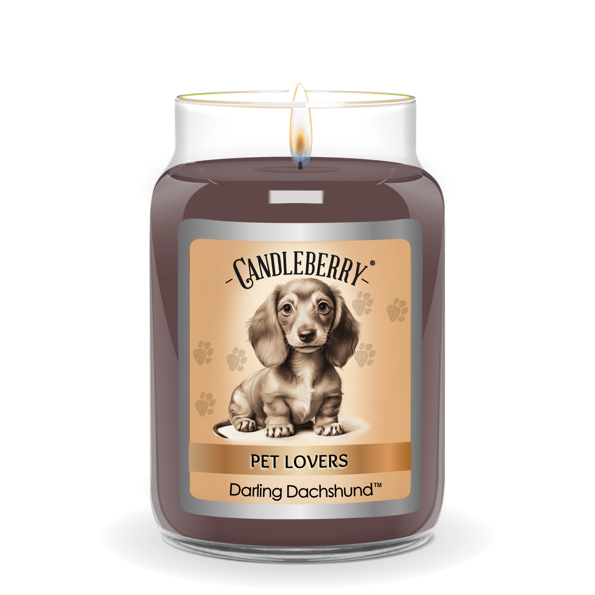 Darling Dachshund - Large Jar Candle