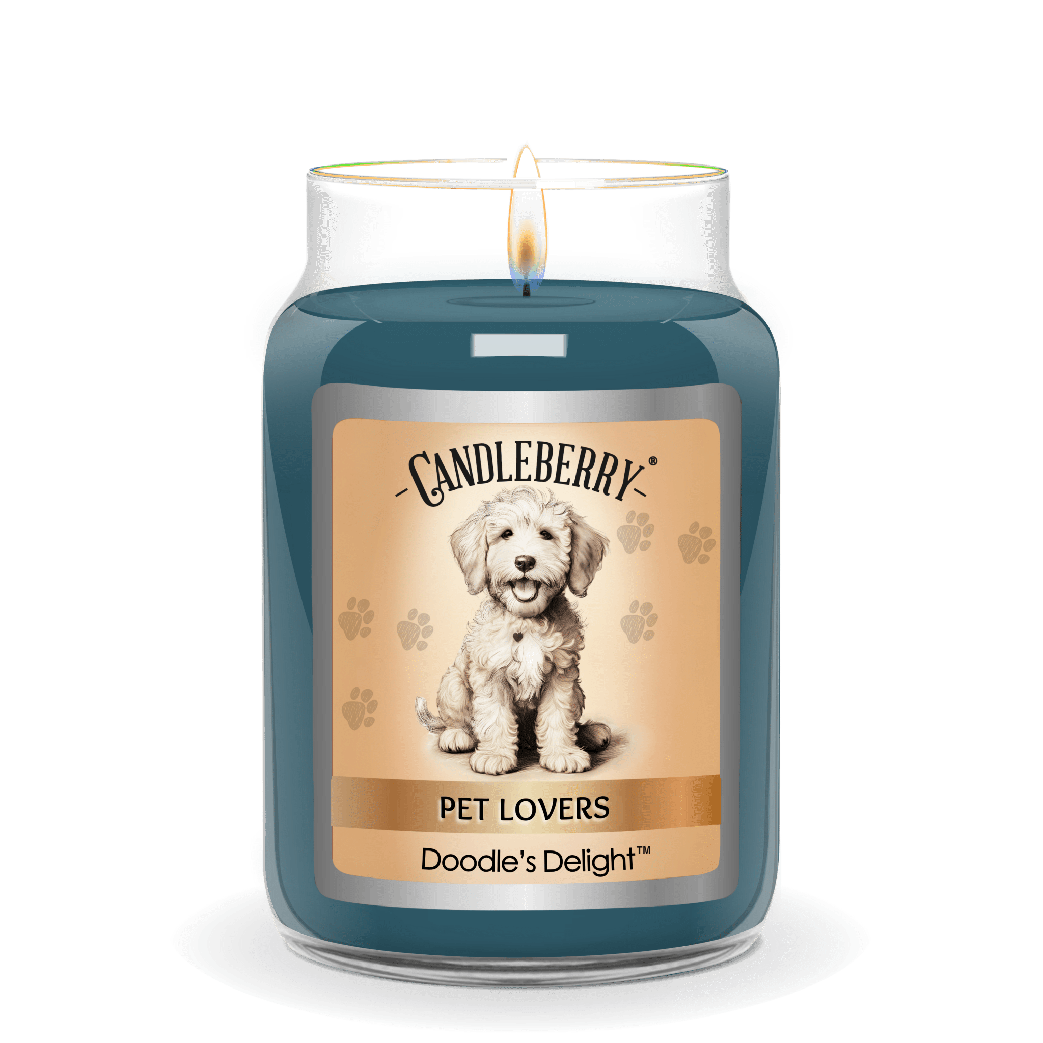 Doodle's Delight - Large Jar Candle