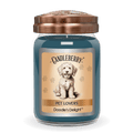 Doodle's Delight - Large Jar Candle