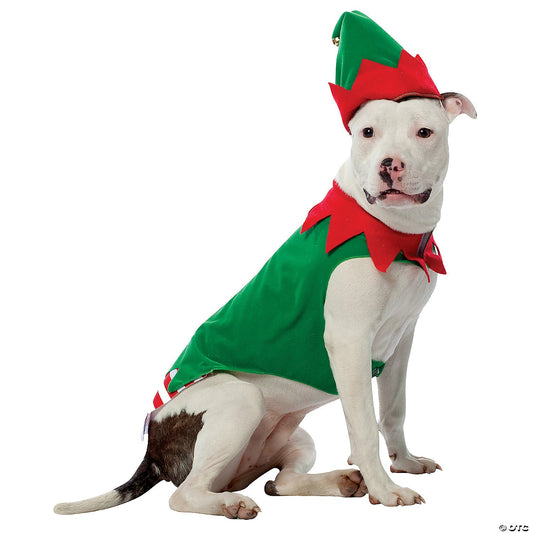 Elf Dog Costume Large
