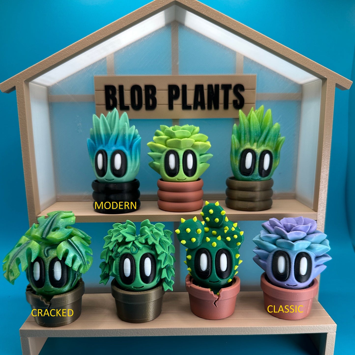 Succulent Blob Plant