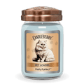 Pretty Purrfect - Large Jar Candle